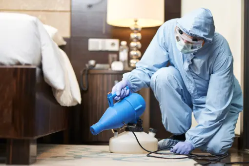 إبادة حشرات التجمع الخامس المنطقة الصناعية 0123456789 – حل جذري سريع وضمان ممتد للمنشآت والمصانع